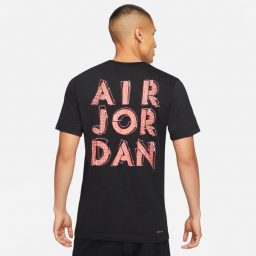 Футболка Air Jordan Perf Logo Tee CZ8087-010